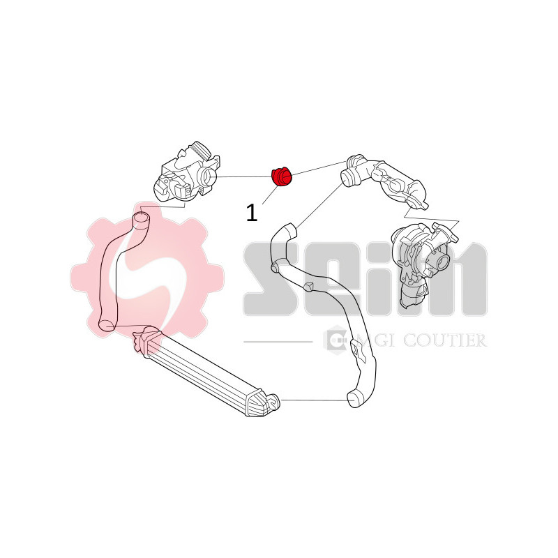 Gaine de suralimentation SEIM