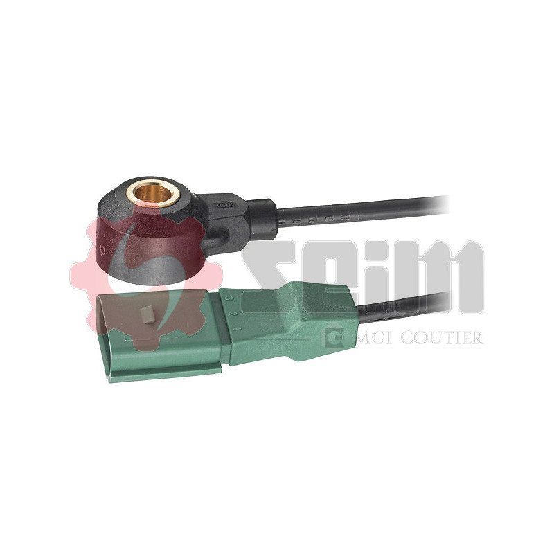 Capteur de cognement SEIM