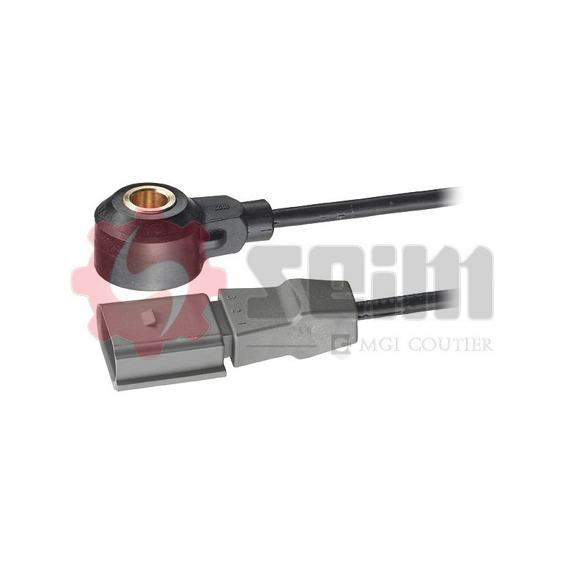 Capteur de cognement SEIM