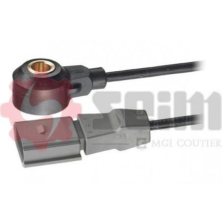 Capteur de cognement SEIM