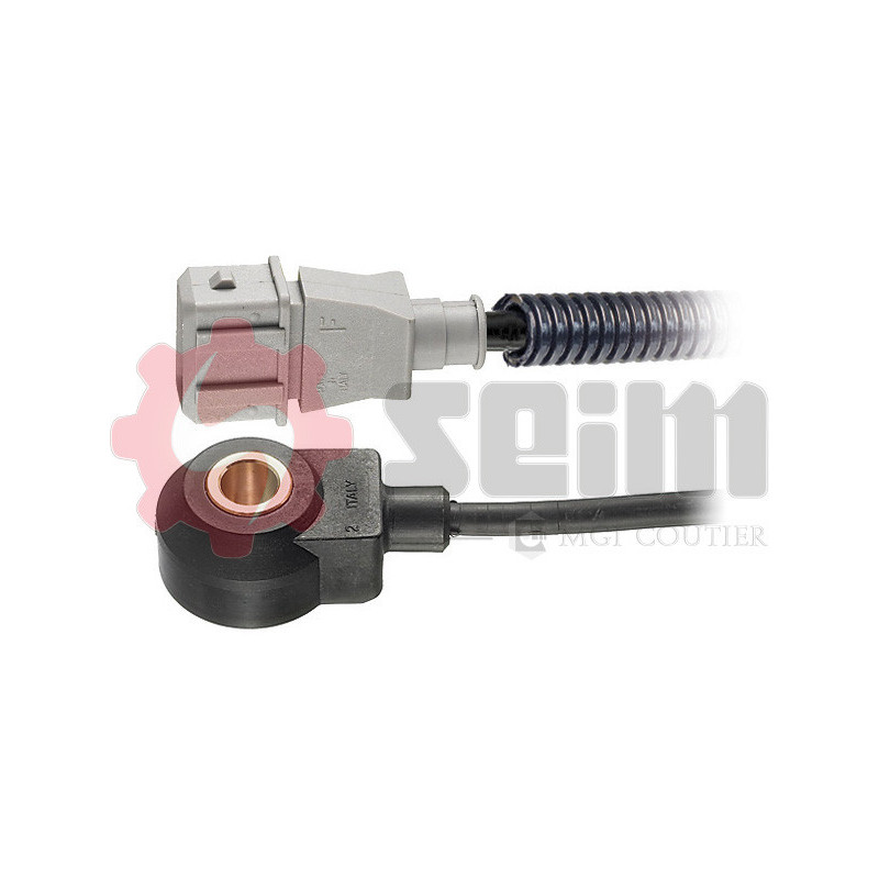 Capteur de cognement SEIM