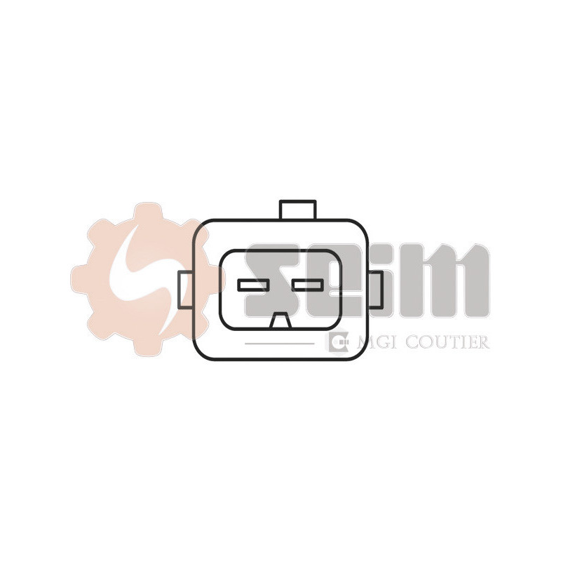 Capteur de cognement SEIM
