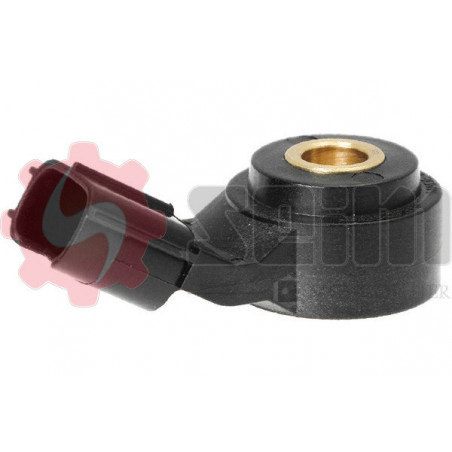 Capteur de cognement SEIM