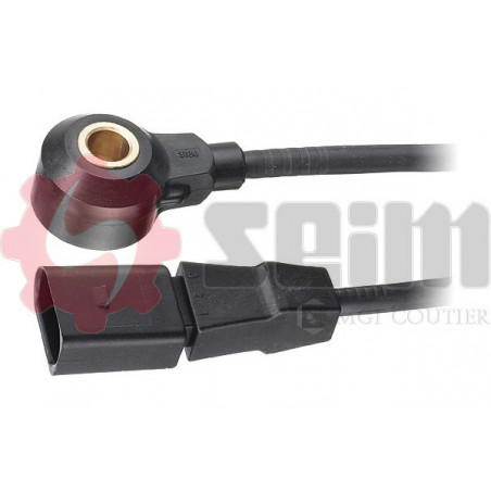 Capteur de cognement SEIM