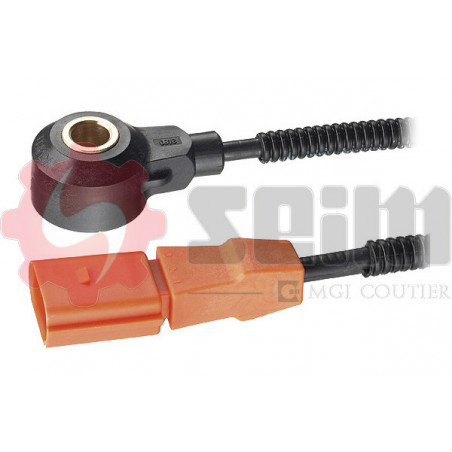 Capteur de cognement SEIM