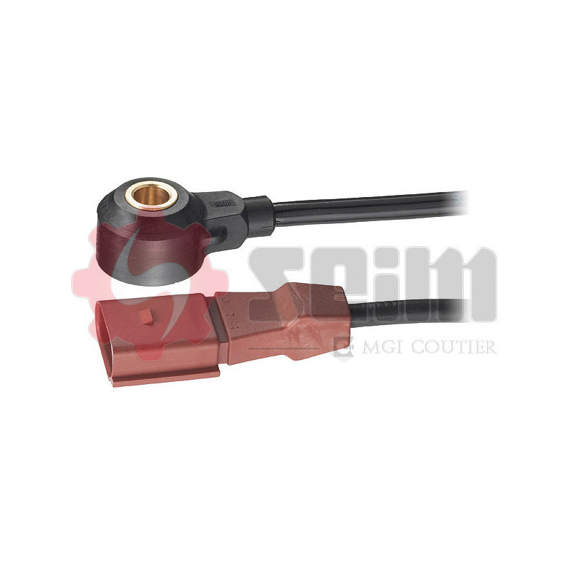 Capteur de cognement SEIM