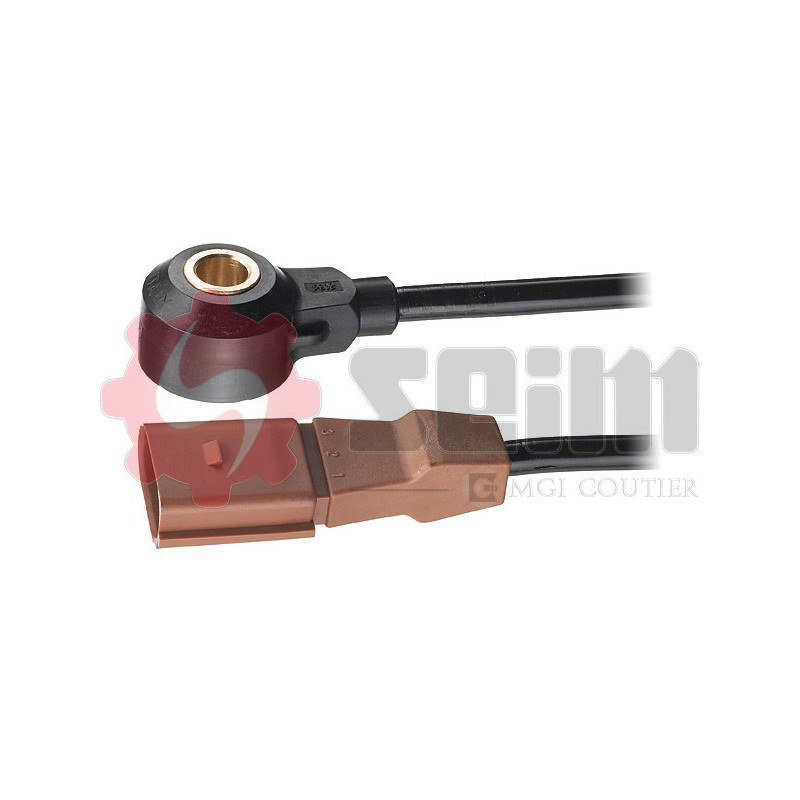 Capteur de cognement SEIM