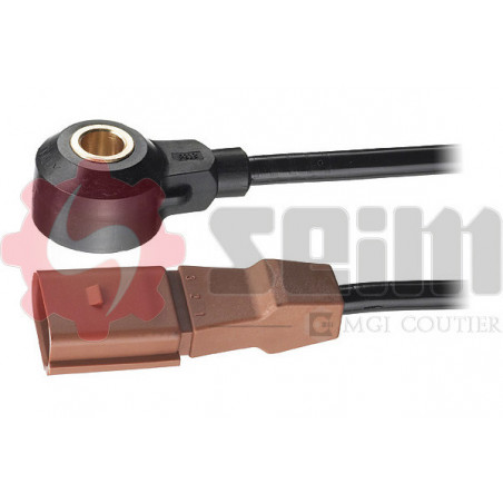 Capteur de cognement SEIM