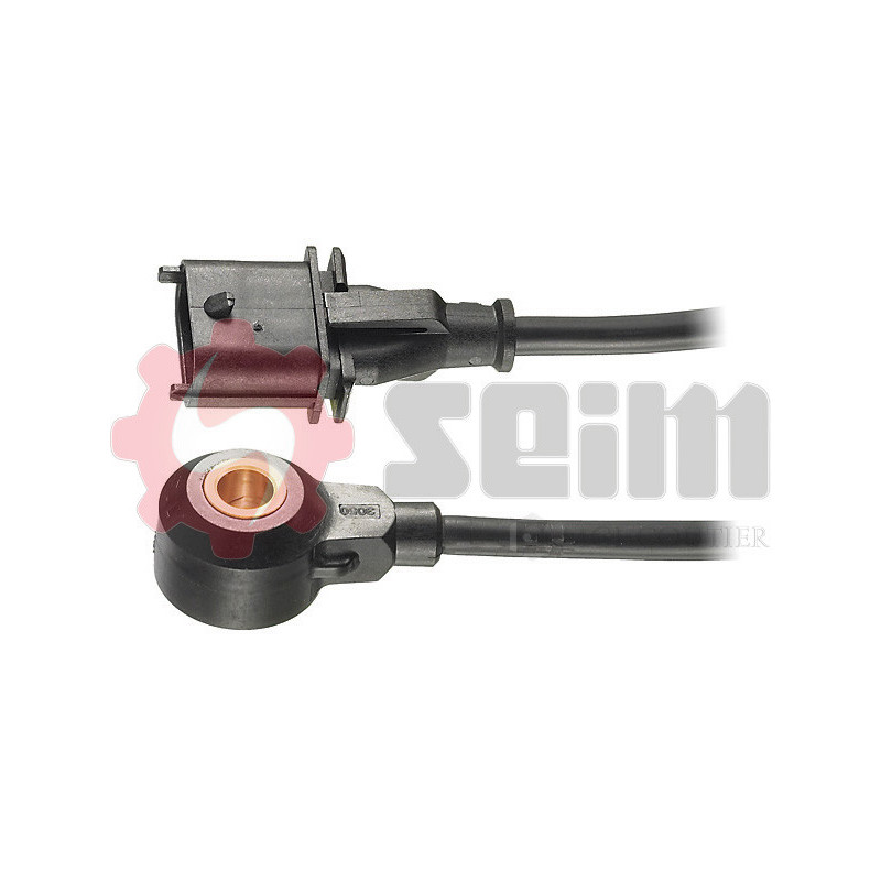 Capteur de cognement SEIM