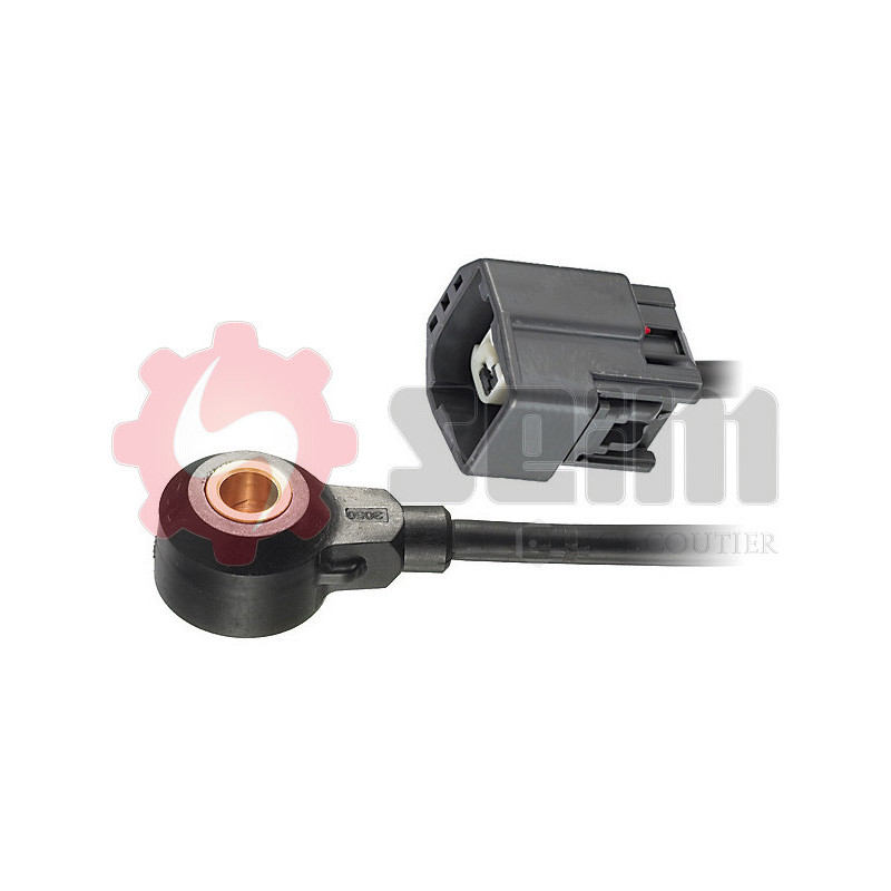 Capteur de cognement SEIM