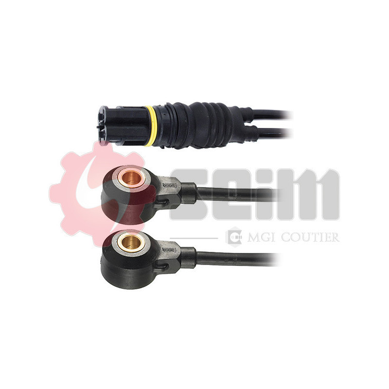 Capteur de cognement SEIM