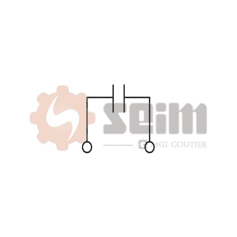 Capteur de cognement SEIM