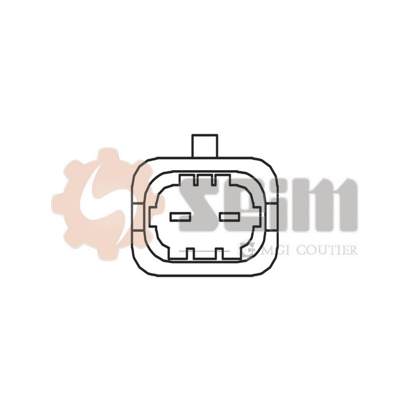 Capteur de cognement SEIM