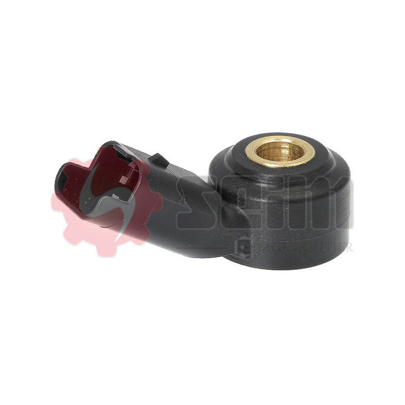 Capteur de cognement SEIM