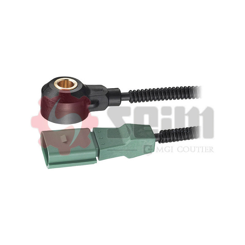 Capteur de cognement SEIM