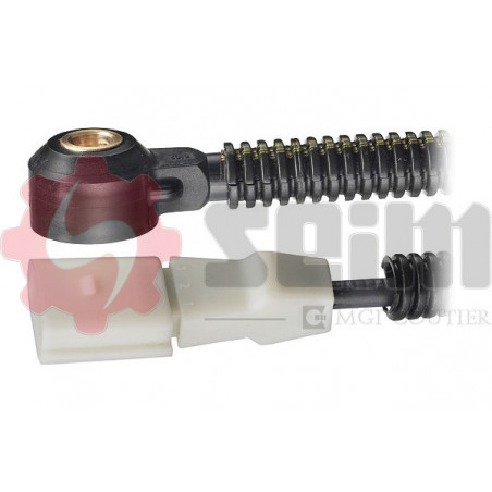 Capteur de cognement SEIM