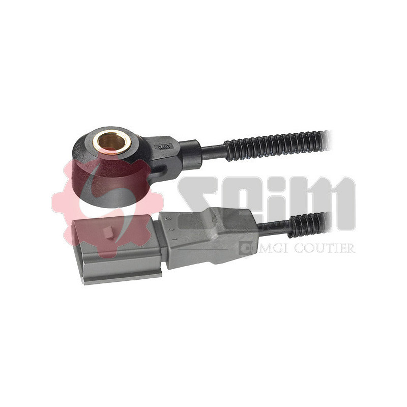 Capteur de cognement SEIM