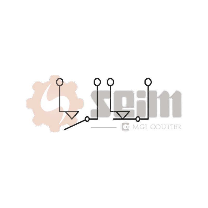 Commande (embrayage (GRA)) SEIM