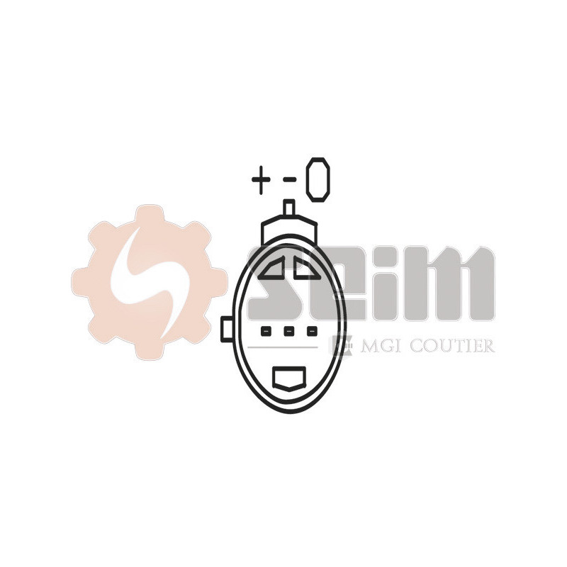 Capteur de pression barométrique (adaptation à l'altitude) SEIM