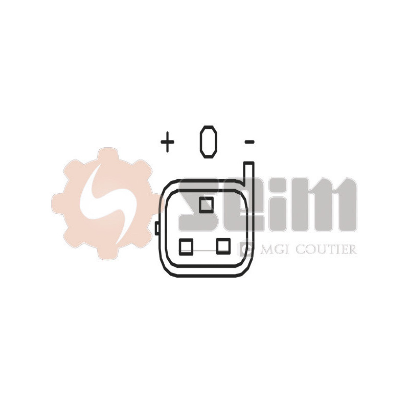 Capteur de pression barométrique (adaptation à l'altitude) SEIM