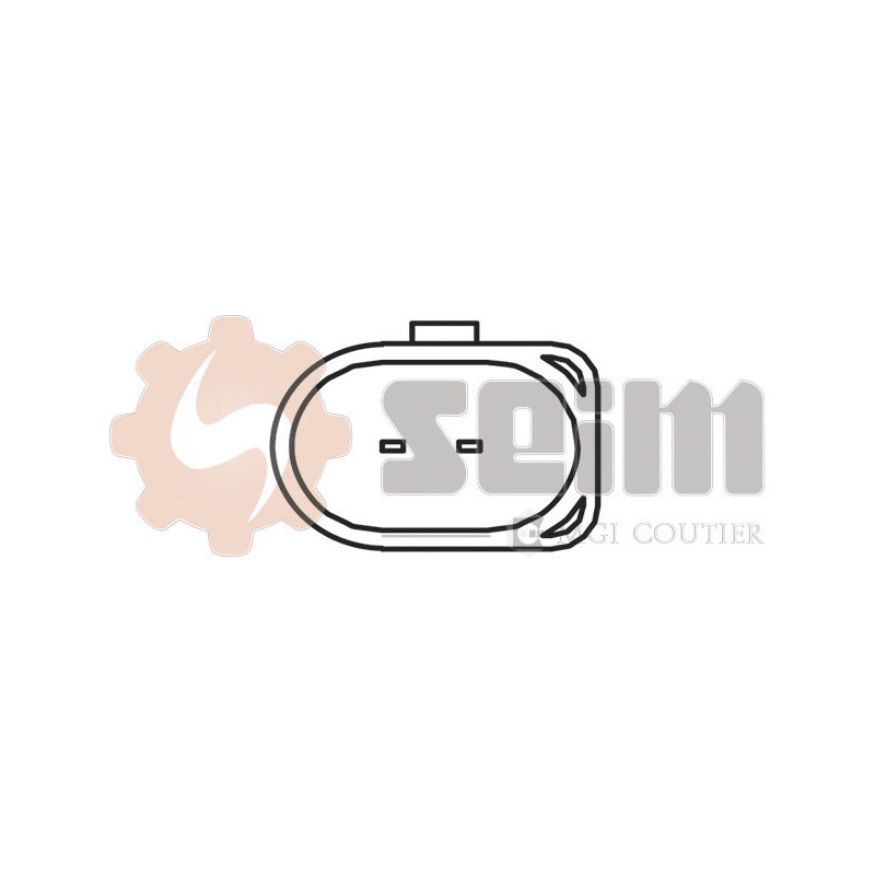 Capteur (température de l'air d'admission) SEIM