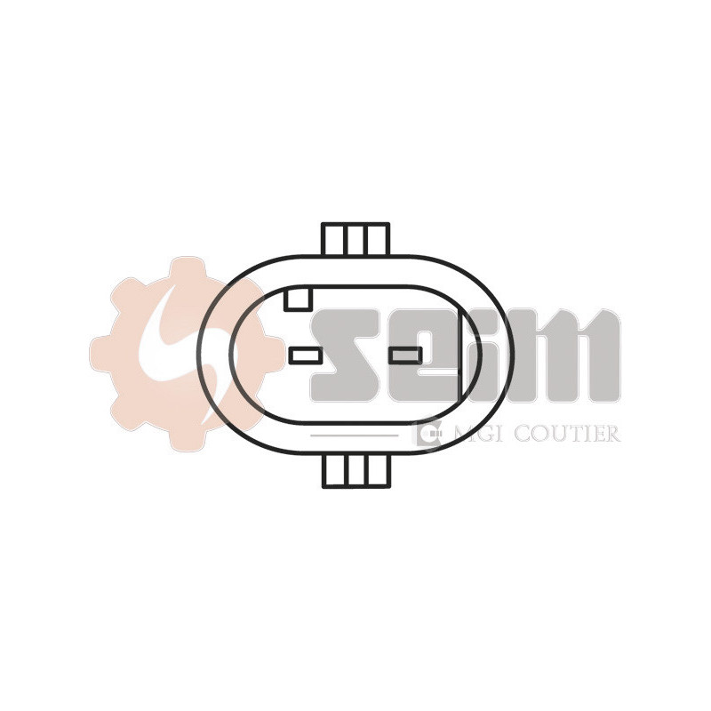 Capteur (température de l'air d'admission) SEIM