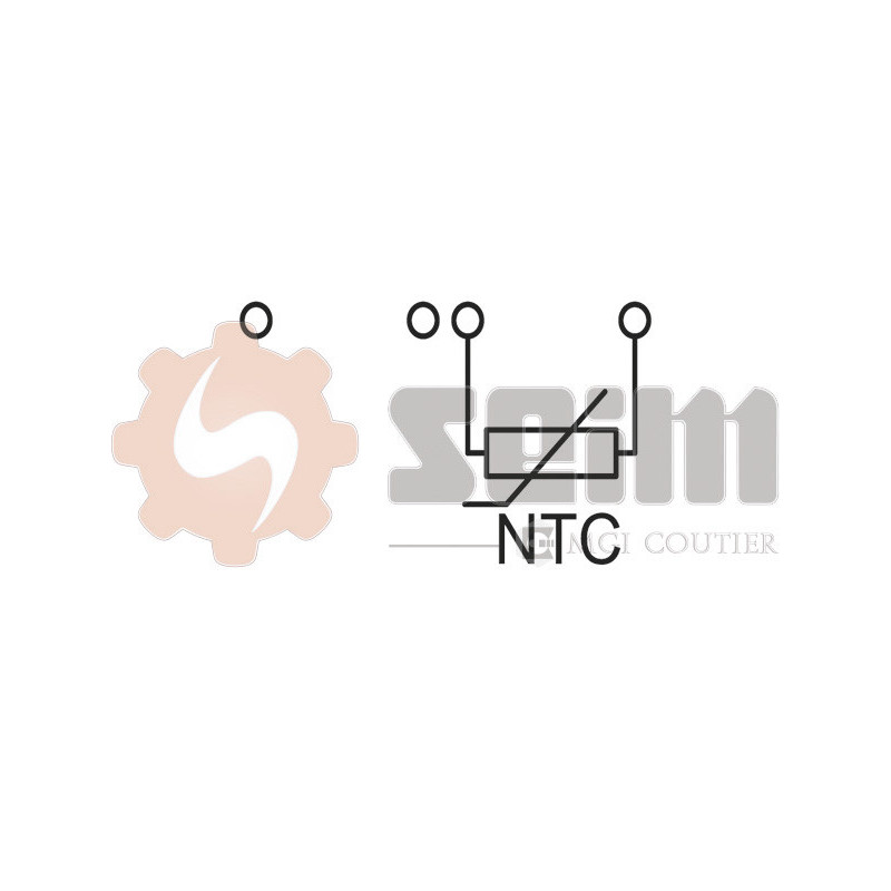 Capteur (température de l'air d'admission) SEIM