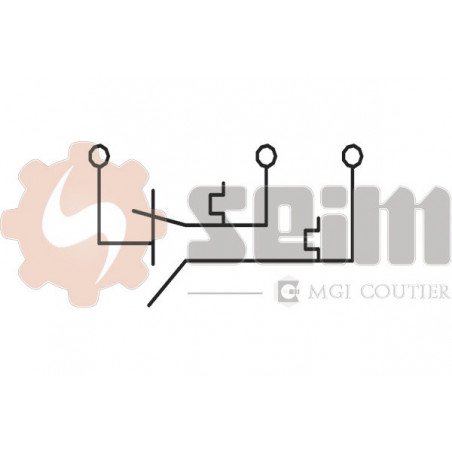 Interrupteur de température...
