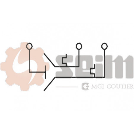 Interrupteur de température (ventilateur radiateur) SEIM