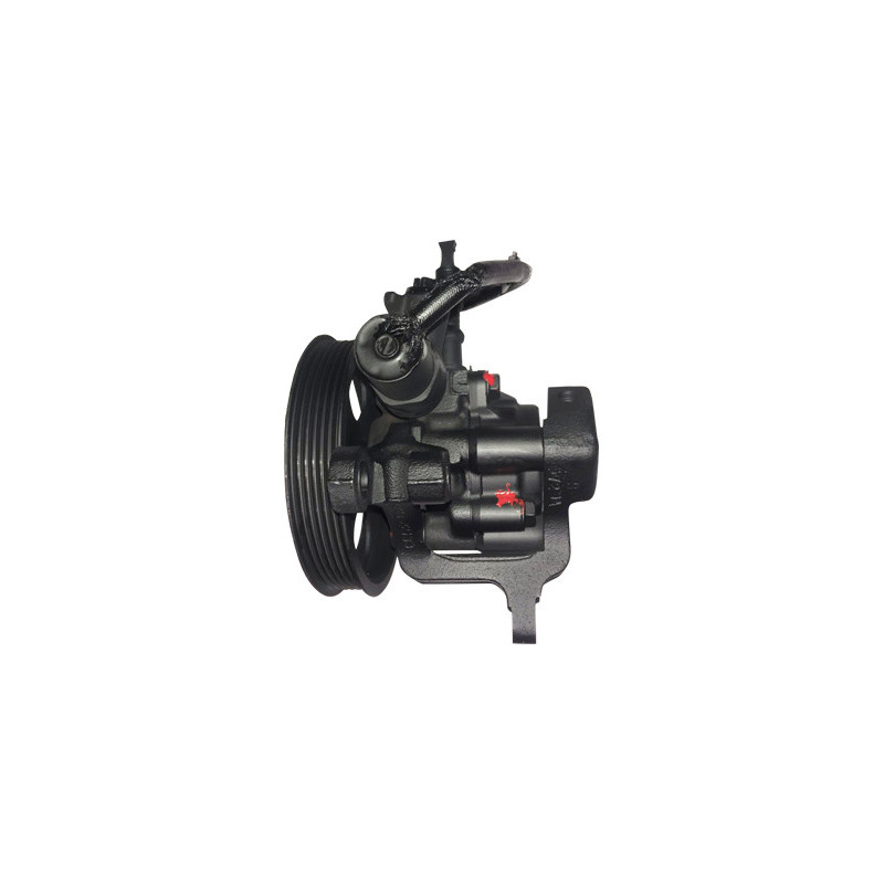 Pompe hydraulique (direction) LIZARTE