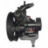 Pompe hydraulique (direction) LIZARTE