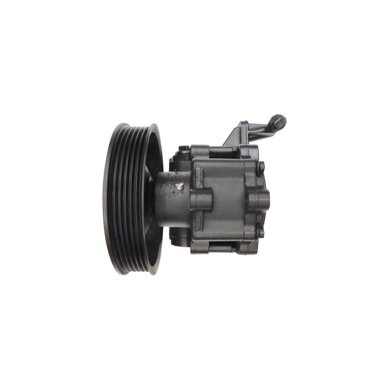 Pompe hydraulique (direction) LIZARTE