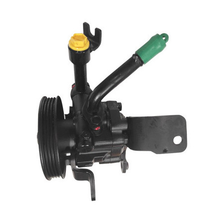 Pompe hydraulique (direction) LIZARTE