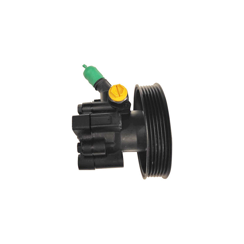 Pompe hydraulique (direction) LIZARTE