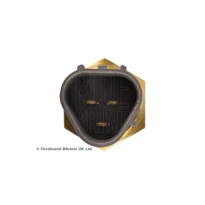 Sonde de température (liquide de refroidissement) BLUE PRINT