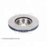 Jeu de 2 disques de frein BLUE PRINT