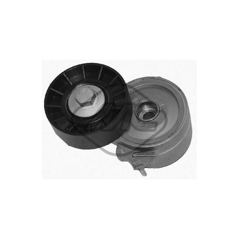 Tendeur de courroie (courroie d'accessoire) Metalcaucho