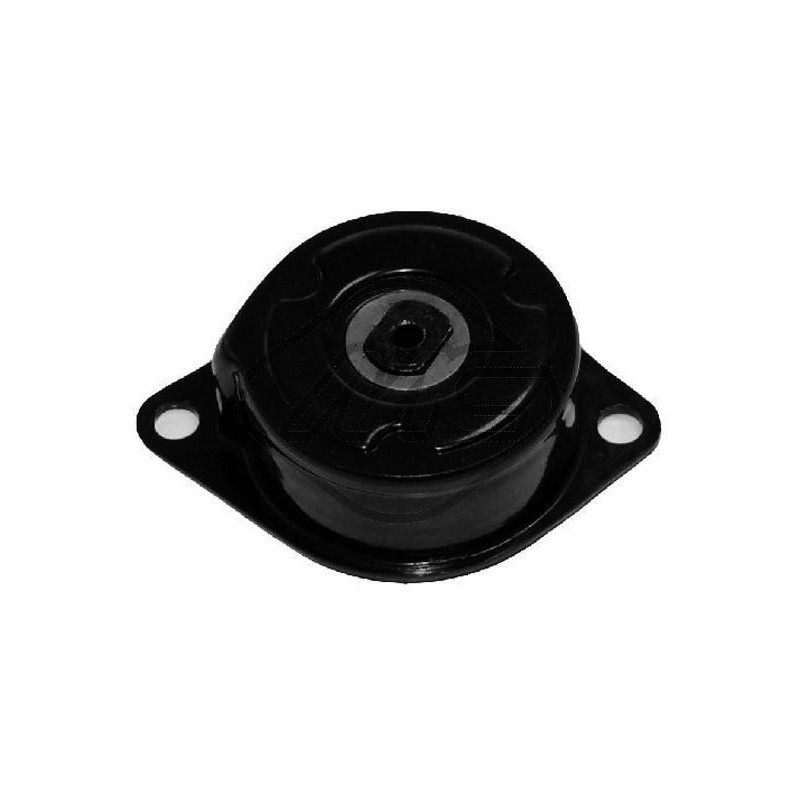 Tendeur de courroie (courroie d'accessoire) Metalcaucho