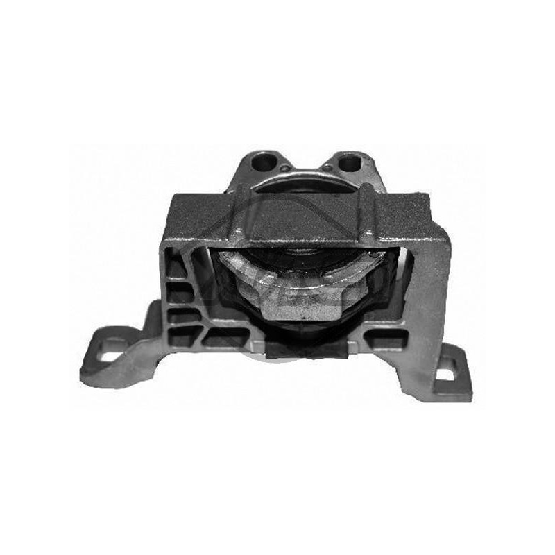 Support moteur Metalcaucho