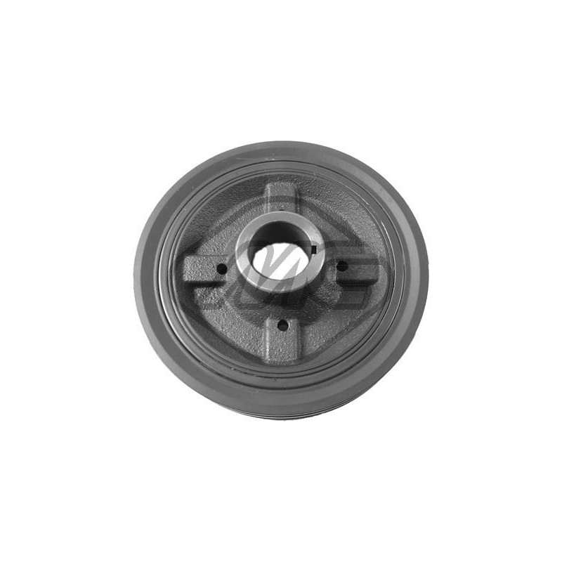 Poulie damper Metalcaucho