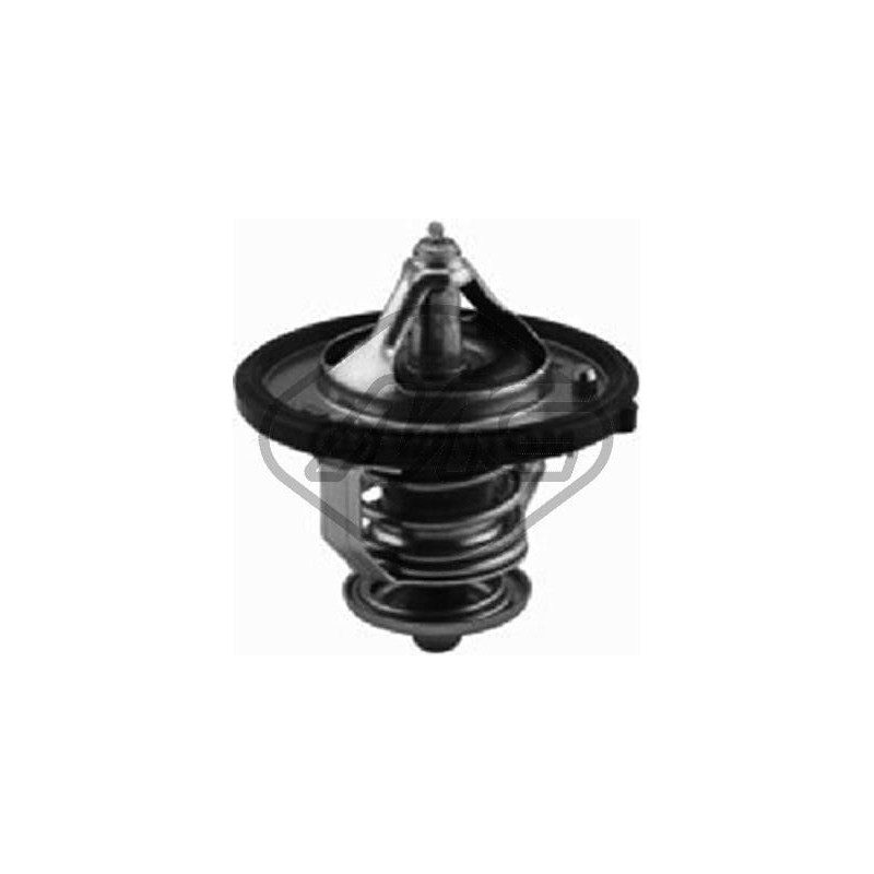 Thermostat d'eau Metalcaucho