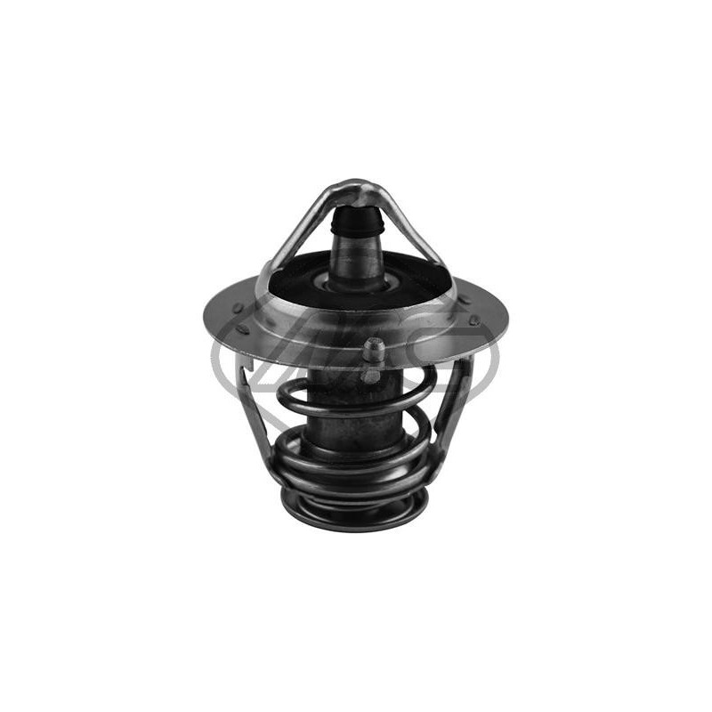 Thermostat d'eau Metalcaucho