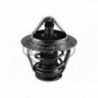 Thermostat d'eau Metalcaucho