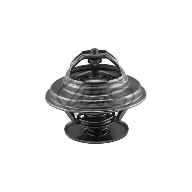 Thermostat d'eau Metalcaucho