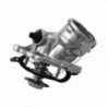 Thermostat d'eau Metalcaucho