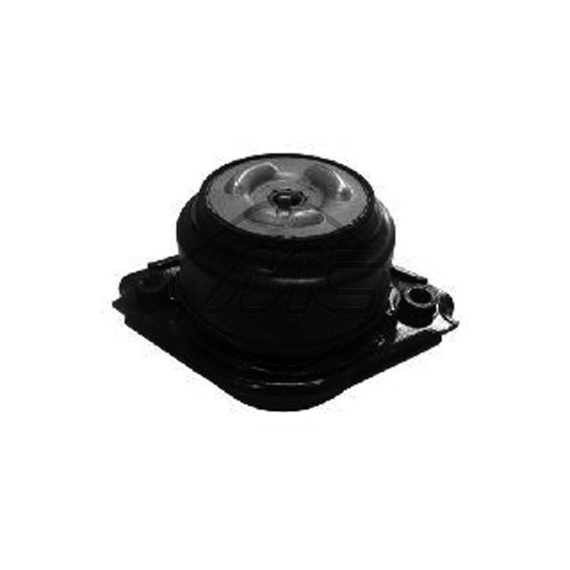 Support moteur Metalcaucho