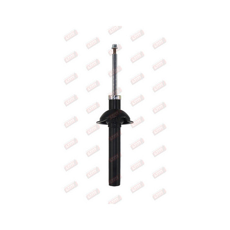 Amortisseur (à l'unité) LTM