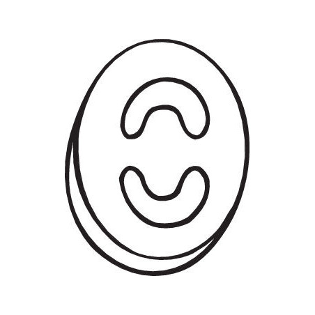 Bandes de caoutchouc (échappement) BOSAL