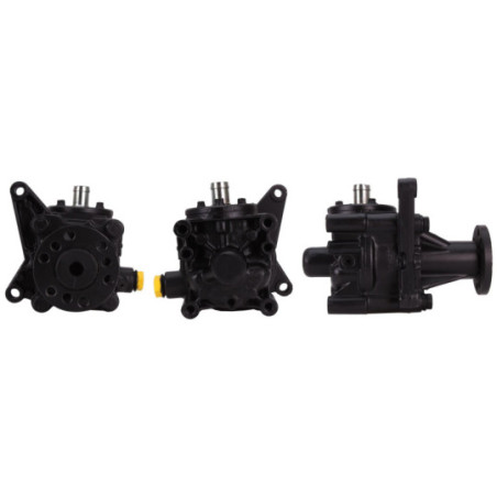 Pompe hydraulique (direction) DRI