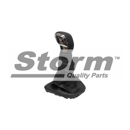 Garnissage de levier de...